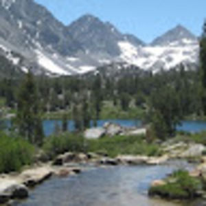 Meet your Posher, Nicholas